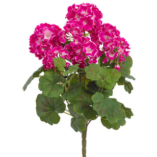 19" Fuchsia Geranium UV