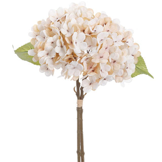 Cream Hydrangea Bundle