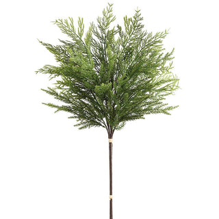 Mixed Cedar Stem