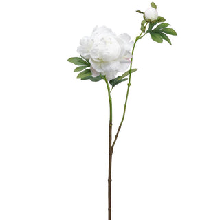 White Peony Spray