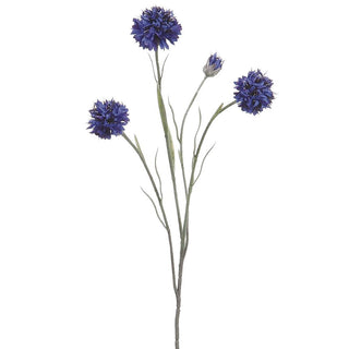 Blue Cornflower Spray