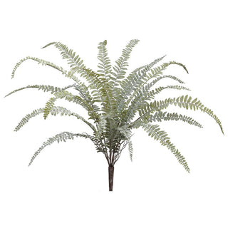 24" Soft Woodland Fern Bush