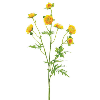 Yellow Mini Ranunculus Spray