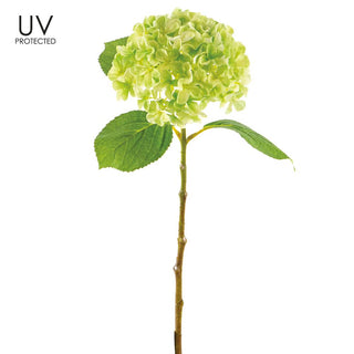 Green Hydrangea Spray UV