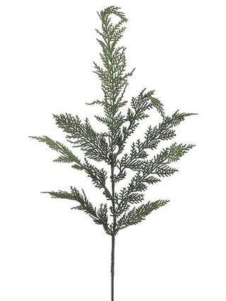 Tall Cedar Spray