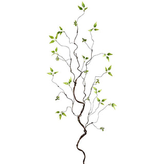 Mini Leaf Moss Vine