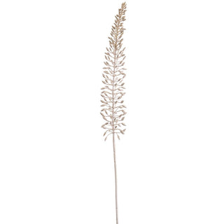 Foxtail Lily Spray 41"