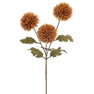 Amber Mum Spray