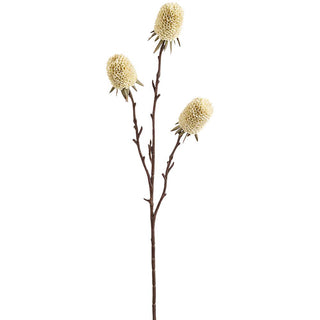 Cream Banksia Spray