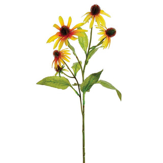 Yellow/Orange Echinacea Spray