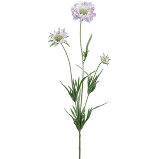 Lavender Scabiosa Spray