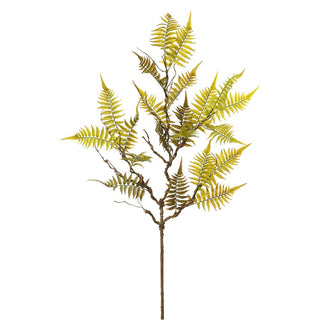 Green Woodland Fern Spray