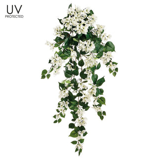 UV Cream Bougainvillea 42"