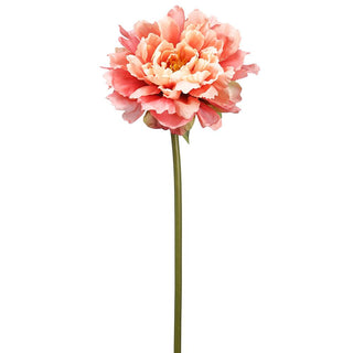 Coral Peony Spray