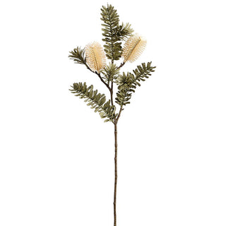 Banksia Spray Cream