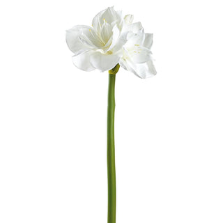 White Amaryllis Spray 27"