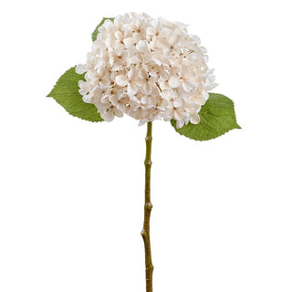 Ivory/Cream Hydrangea Spray