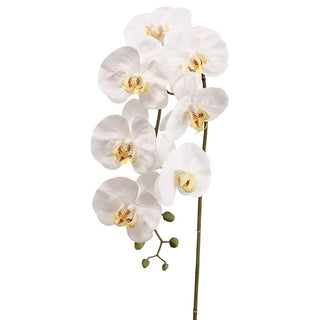 42" White Orchid Spray