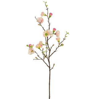 Pink Quince Blossom Spray