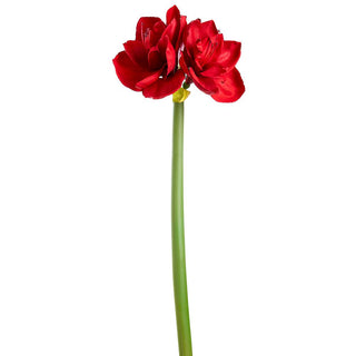 Red Amaryllis Spray 27"
