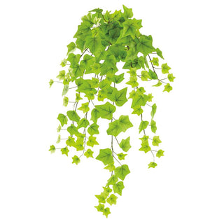 Lt Green Ivy Hanging Bush