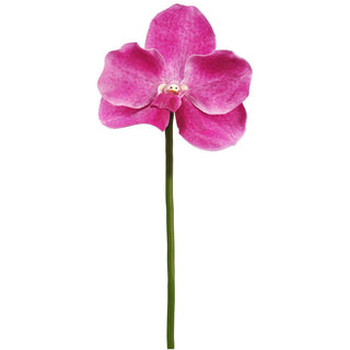 Magenta Vanda Orchid Pick