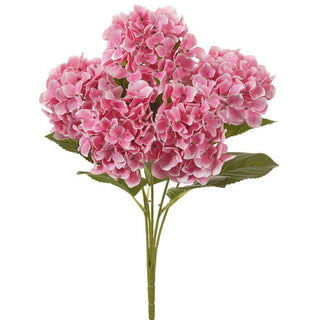 20" Pink Hydrangea Bush