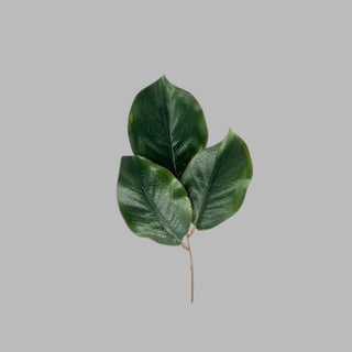 Magnolia Leaf Pick