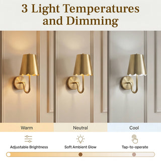Set Rechargeable Scallop Wall Sconces