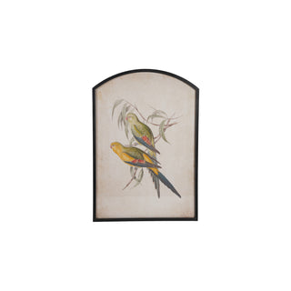Arched Framed Bird Art