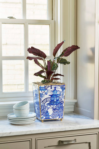 4" Garden Party Square Cachepot Planter