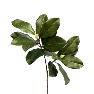 27.5"  Magnolia Leaves Stem
