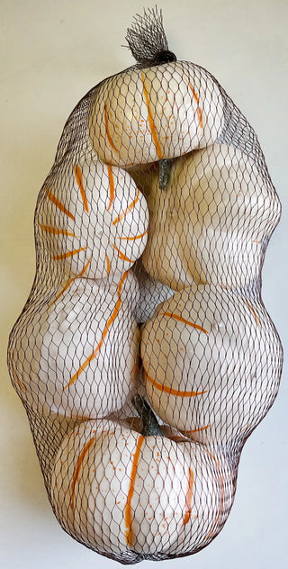 Bag of White Pumpkins