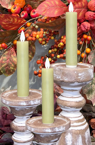 5" Sage Motion Taper Candles