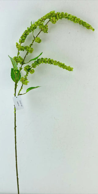 Green Wild Spinach Spray