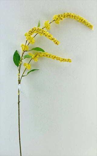 Yellow Wild Spinach Spray