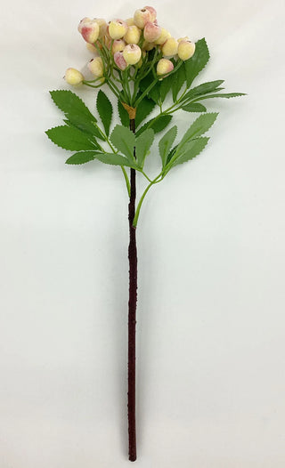 Pink Yellow Berry Pick