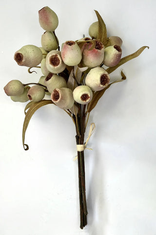 Dried Berry Cream Stem