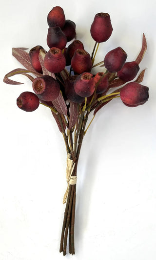 Dried Berry Red Stem
