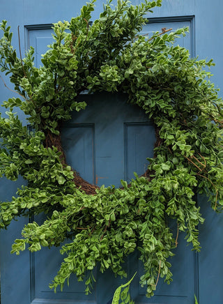 Large Boxwood Wreath