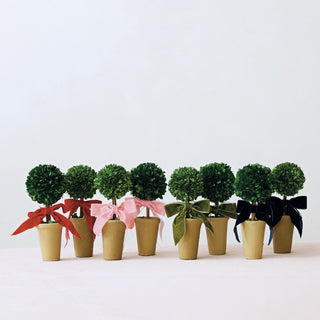 Boxwood Tree w/ Green Bow